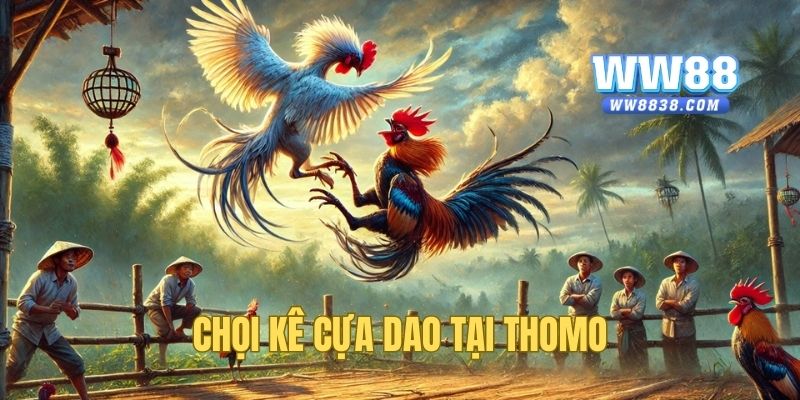 Cựa dao bộ môn ưa chuộng bậc nhất tại Thomo