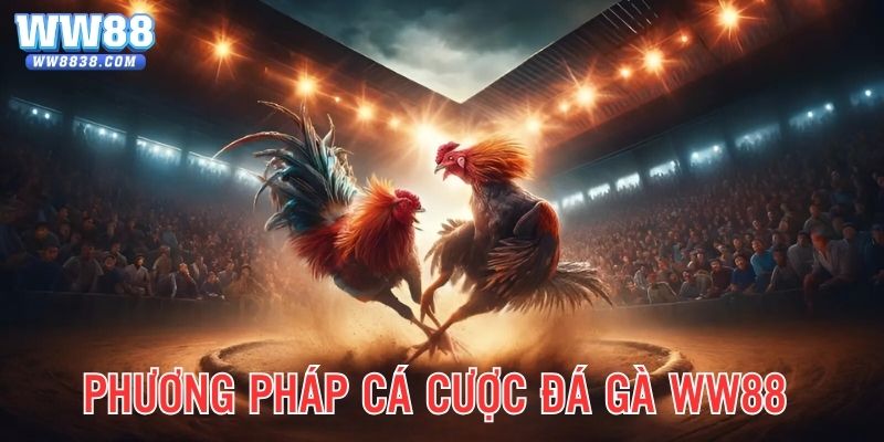 Phương pháp tăng tỷ lệ thắng khi cá cược nên nắm bắt