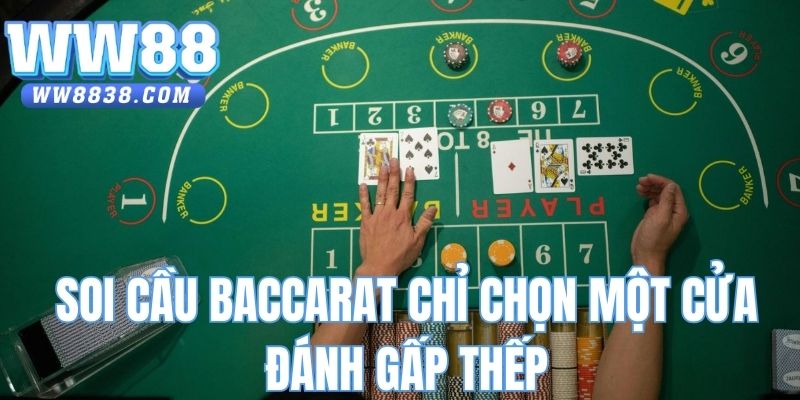 Soi cầu Baccarat chỉ chọn một cửa đánh gấp thếp