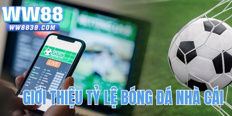 Giới thiệu sơ lược về tỷ lệ bóng đá nhà cái